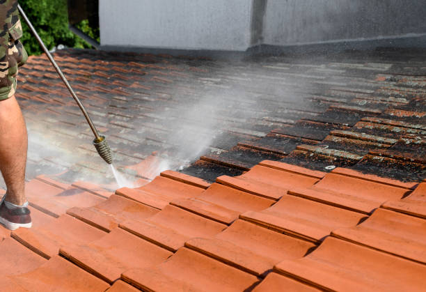 Best Roof Power Washing Services  in Charlevoix, MI