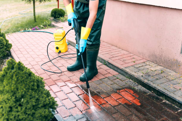 Best Deck Cleaning Services  in Charlevoix, MI