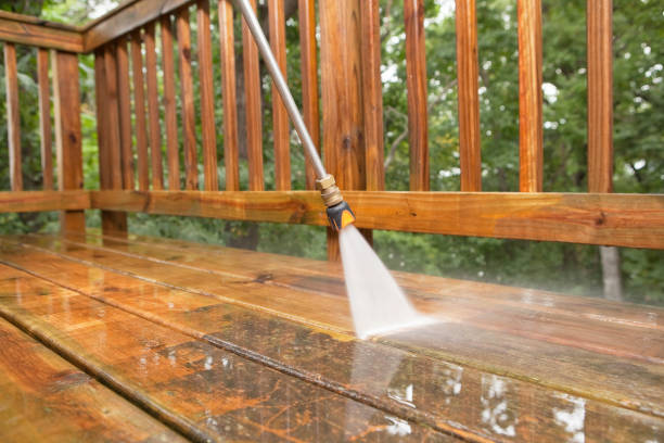 Best House Pressure Washing  in Charlevoix, MI