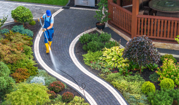 Best Local Pressure Washing Services  in Charlevoix, MI