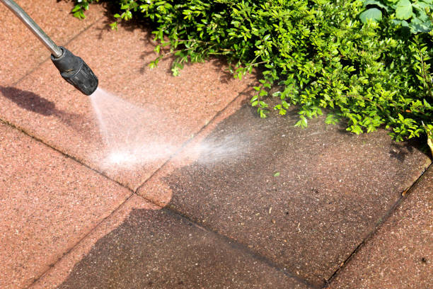 Best Affordable Pressure Washing  in Charlevoix, MI